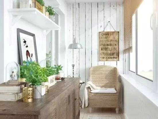 陽(yáng)臺(tái)種什么植物比較好？植物風(fēng)水有哪些禁忌？